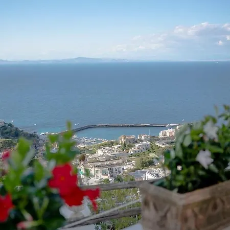 La Prora 3* Κάπρι
